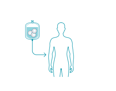 Person Cells Aspect Ratio 408 322