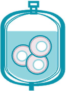 Manufacturing Cryopreserve